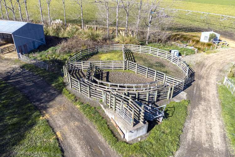 368 Crows Road Coldstream_14