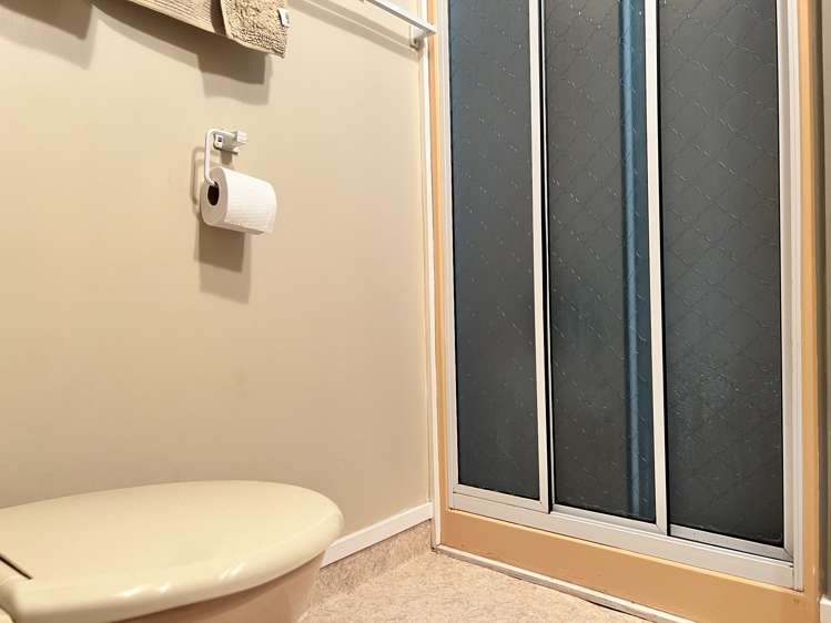 53 Cemetery Road Dannevirke_21