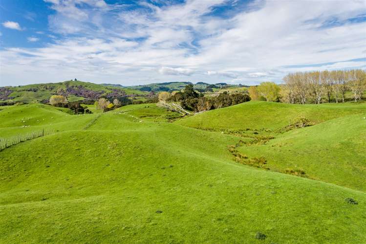 Glengarry Road Hastings Country_15