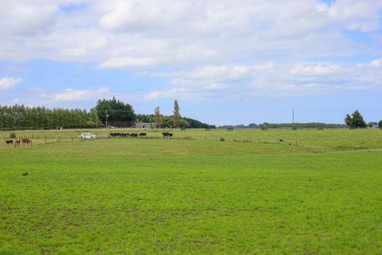 Campbell Road Brunswick_7