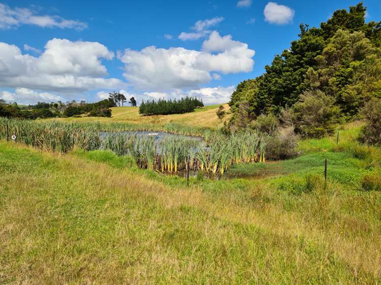 304 Arapaoa Road Tinopai_18