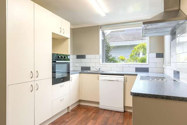 7 Manson Street Redwoodtown_1