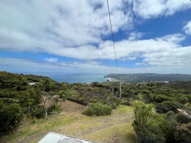 4 Log Race Road Piha_1