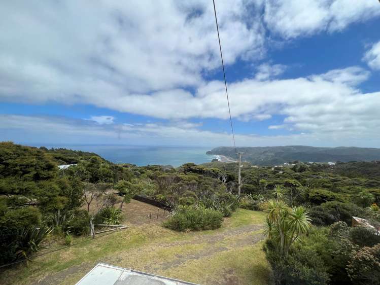 4 Log Race Road Piha_1