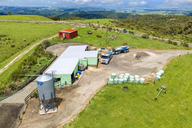 89 Jones Road Donnellys Crossing_2