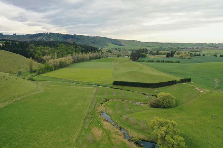 1201 Pareora River Road Maungati_22