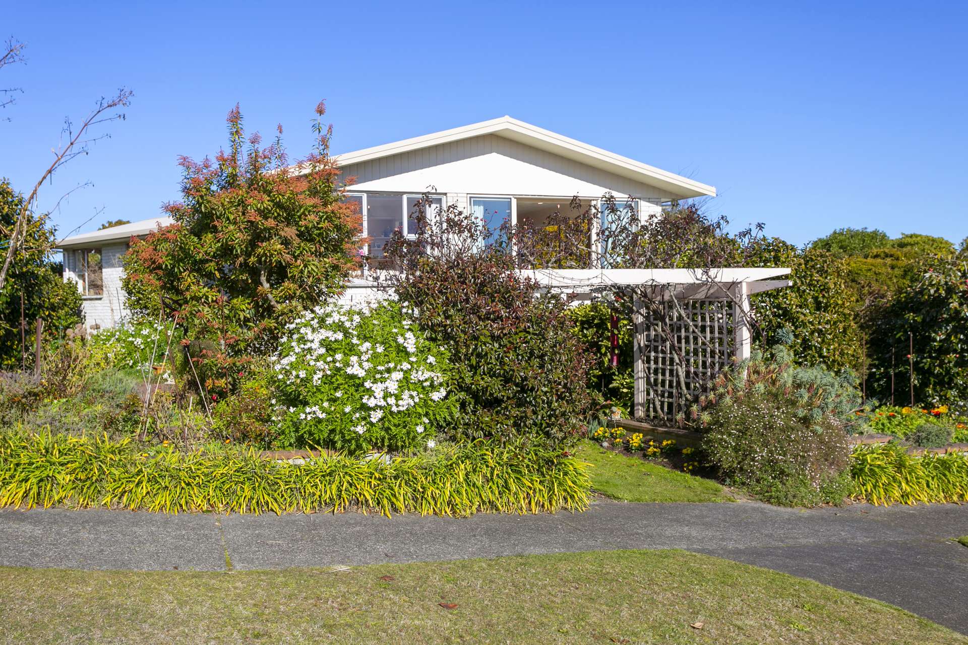 63 Birch Street Hilltop_0