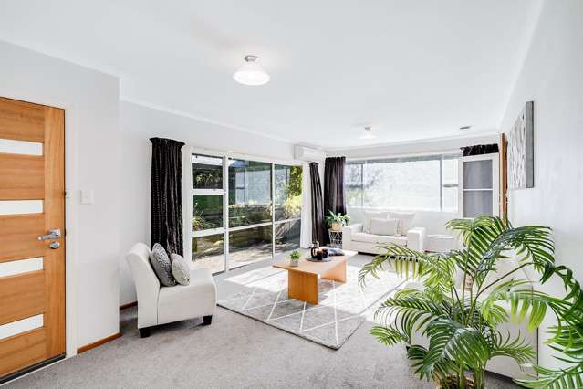 30 Kowhai Street Hamilton Lake_3