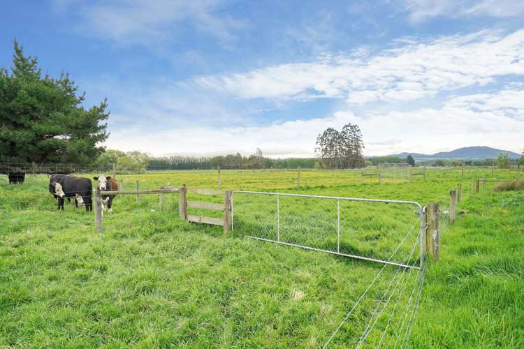 767 Lower Sefton Road Sefton_19