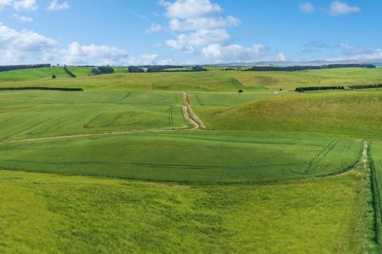 70 Finlay's Road Windsor_10