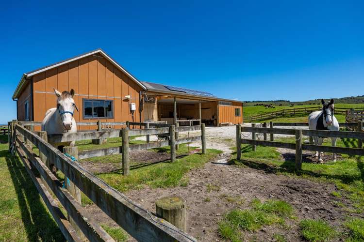 Lot 1, 18 Kahikatea Drive Kinloch_16