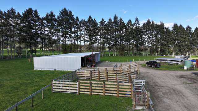 57 Ohutu Road Galatea_4