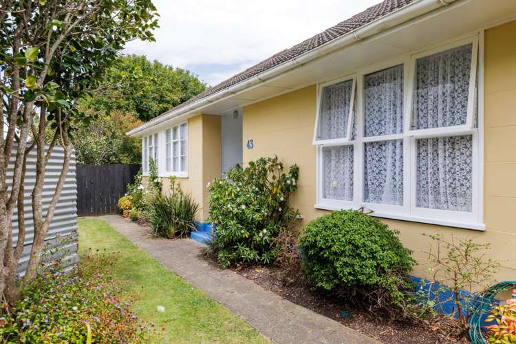 43 Exeter Crescent Takaro_13