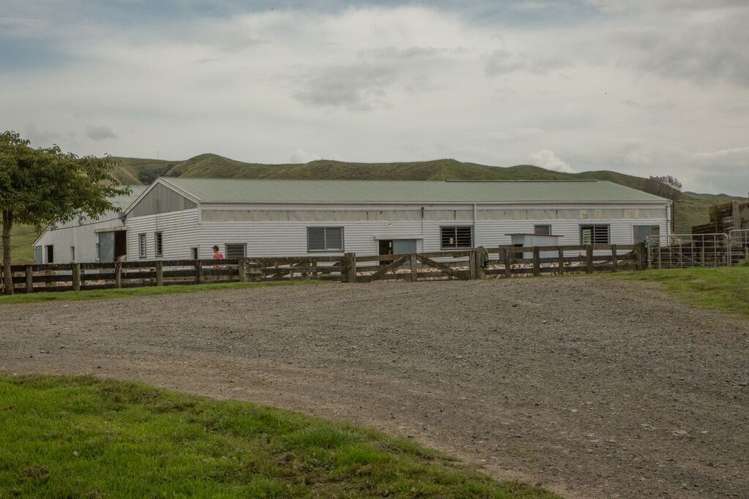 2491 State Highway 4 Owhango_14