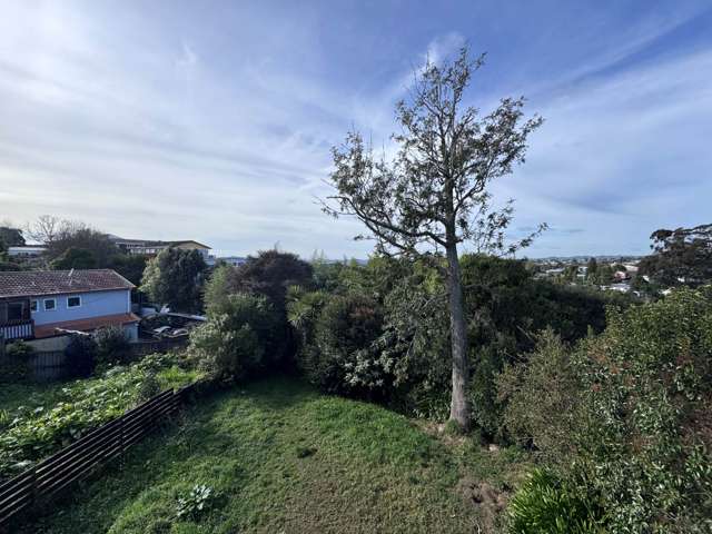 445 Don Buck Road Massey_4