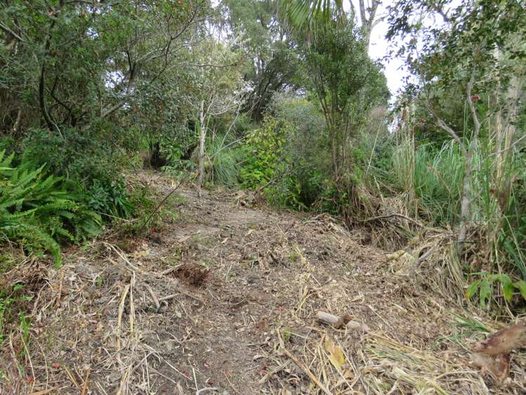 141 Parnell Street Rawene_10