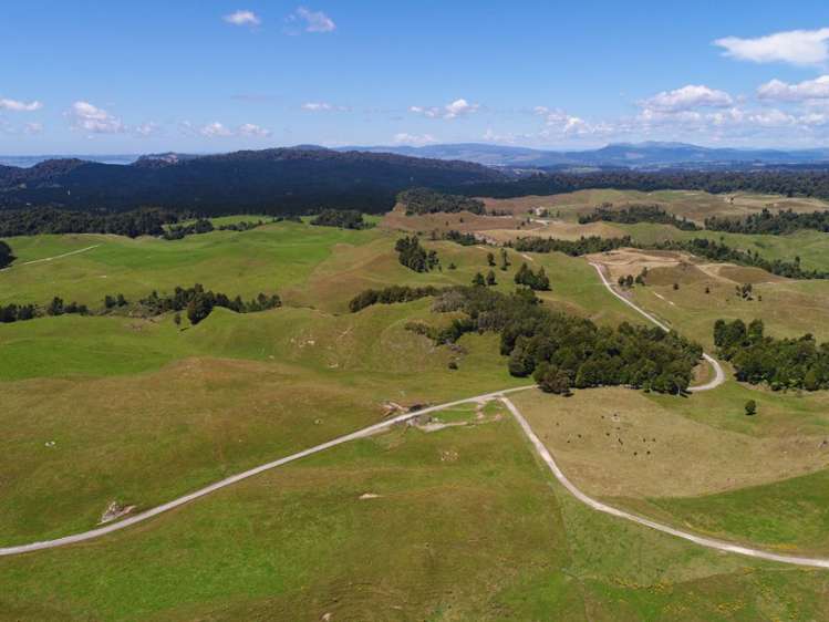 627 South Road Mamaku_15