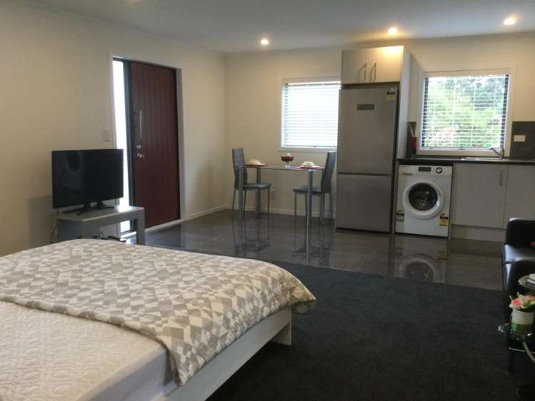 19 Eleanor Place (Studio) Blockhouse Bay_8