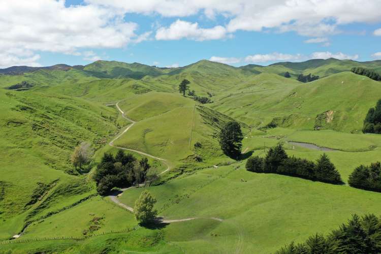 13151 Puketawa Road Tiraumea_8