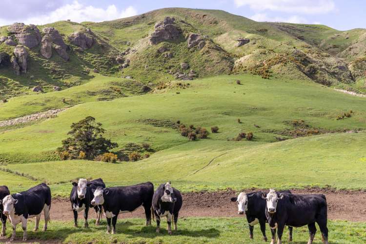 1698 Hetherington Road Huntly_14