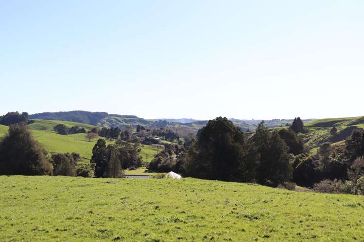 1141 Waingaro Road Glen Massey_5