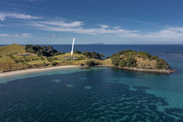 191b Pacific Ocean Slipper Island (Whakahau)_9