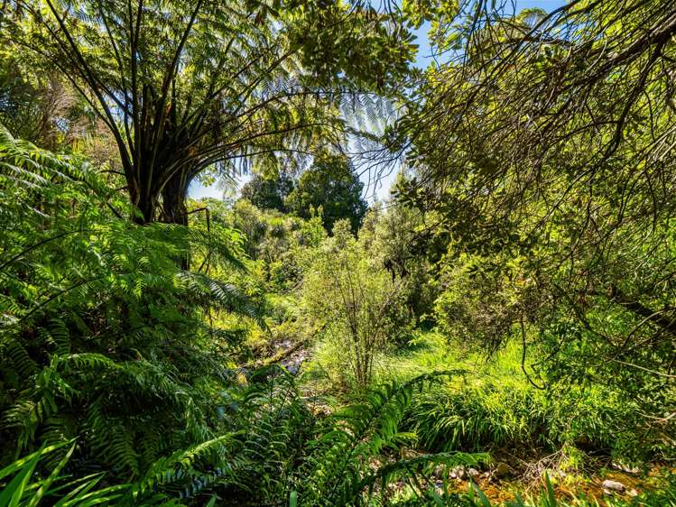 383 Busby Road Katikati_47