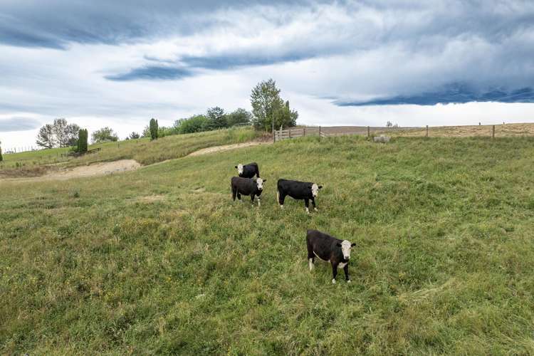 Lots 2-3-4 Hatuma Road Rd2, Waipukurau_11