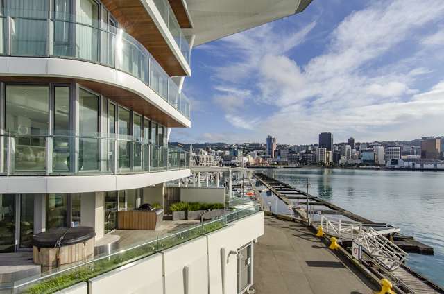 2a/1 Clyde Quay Wharf Te Aro_1