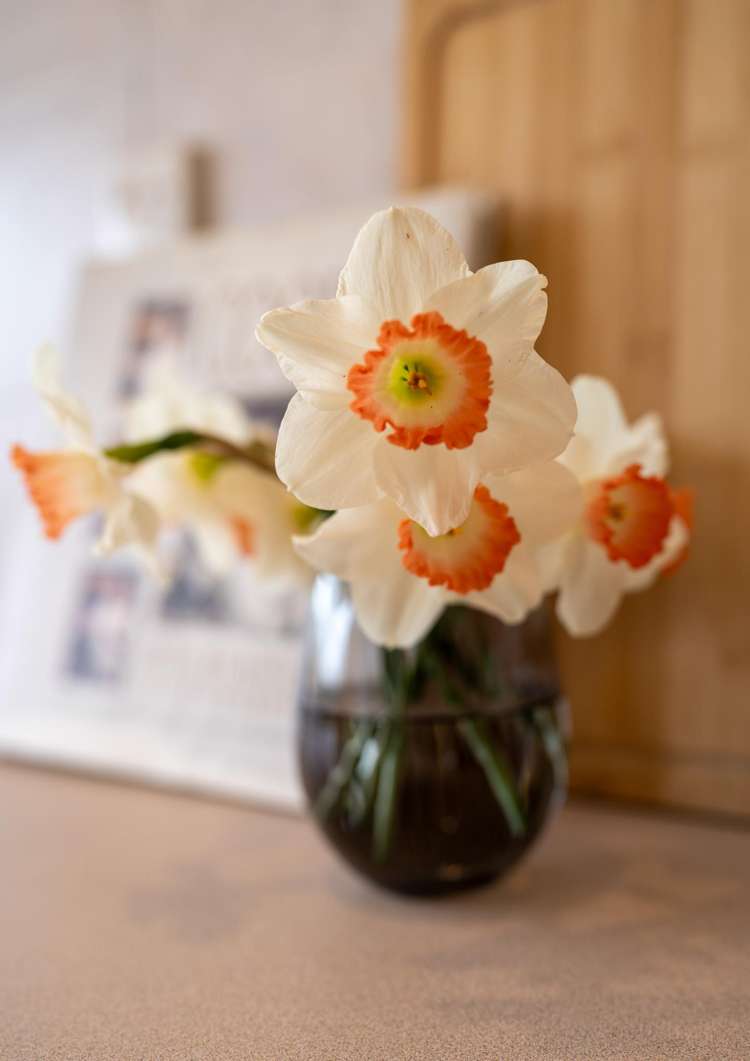 5 Princes Street Cambridge_19