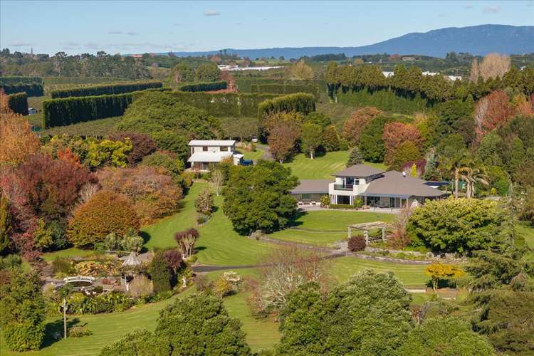 115 Tuapiro Road Tahawai_12
