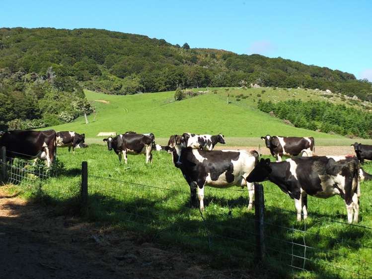 1101+1028 Otautau Tuatapere Road Merrivale_12