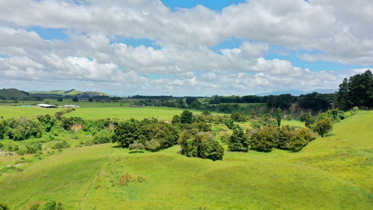 136 Weber Road Dannevirke_8