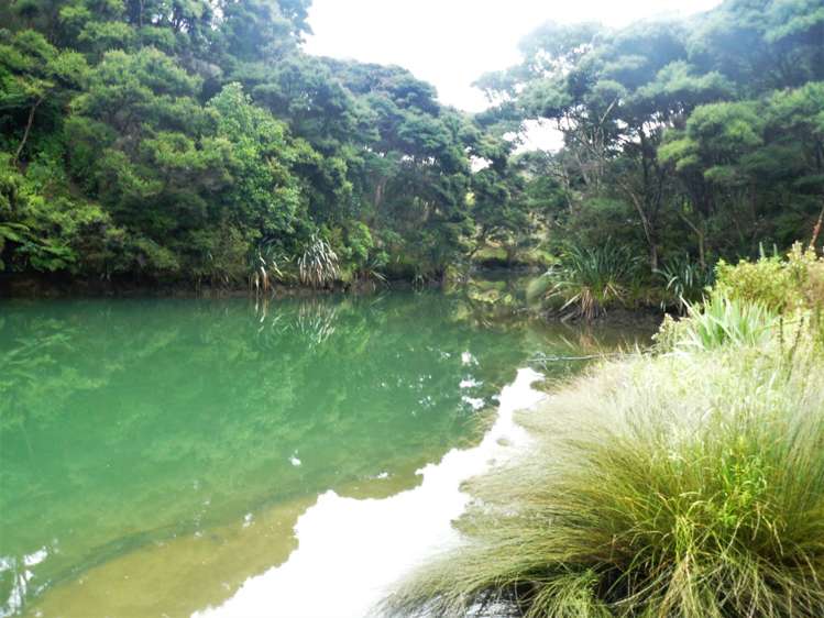 236 Redcliffs Road Kerikeri_10