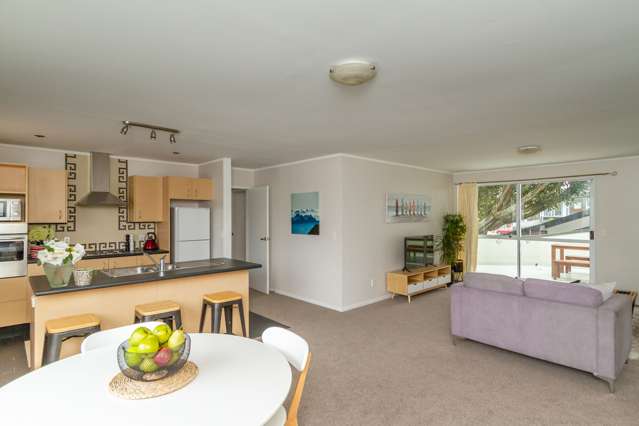 2/193 Dp Jackson Street Petone_1