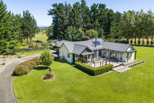155B Halcombe Road Feilding_1