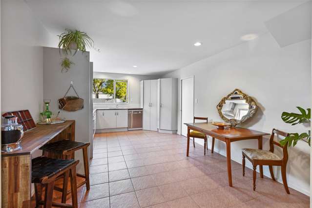 11a Angus Street Sydenham_2