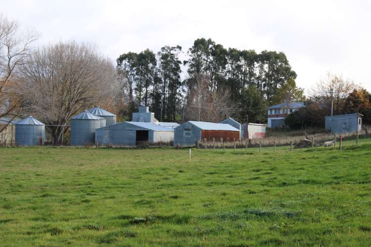 Station Road Tapanui_5
