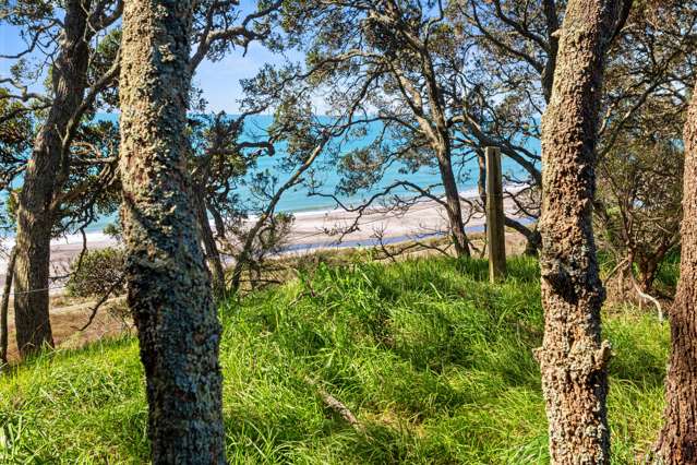 1133 Pacific Coast Highway Pikowai_3