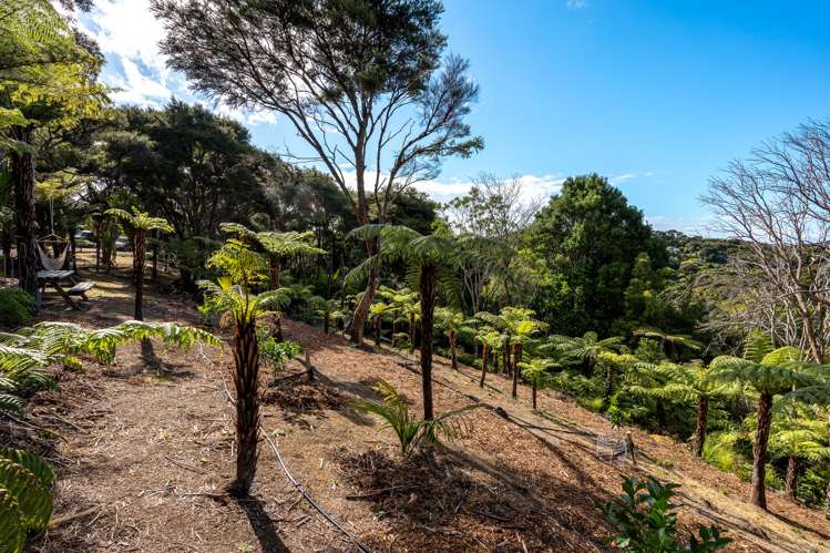 50 Carsons Road Waiheke Island_36