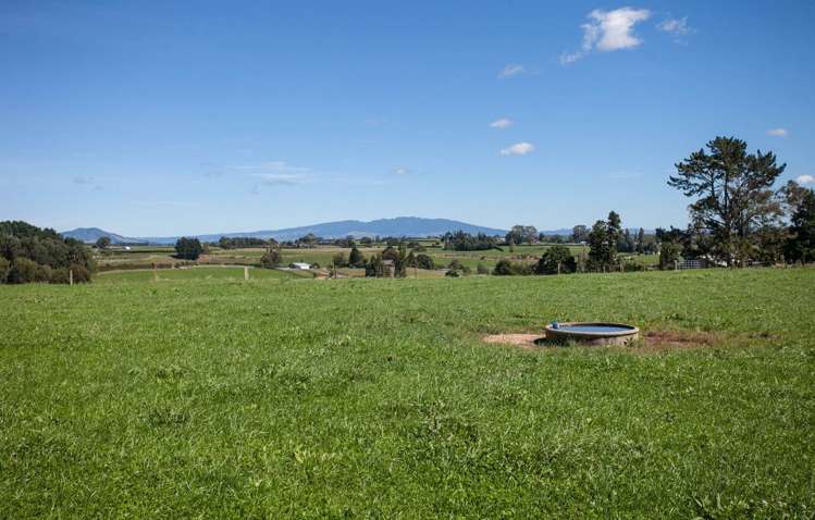 187 Judge Road Rotoorangi_3