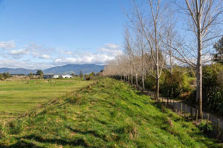 Governors Green Drive Greytown_8