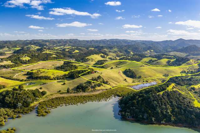 61 Mornington Way Parua Bay_4