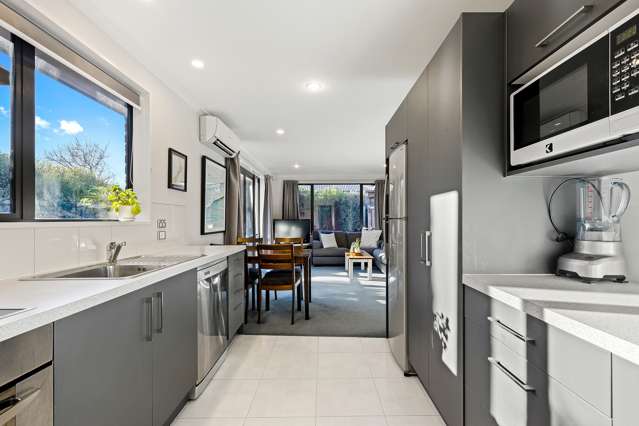 27b Earl Street Hillsborough_2