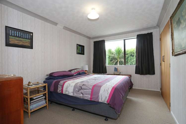 12 Hammond Street Bulls_7