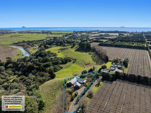 306 Tablelands Road Tirohanga_2