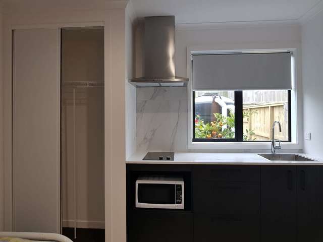 9 Yulia Road Flat Bush_1