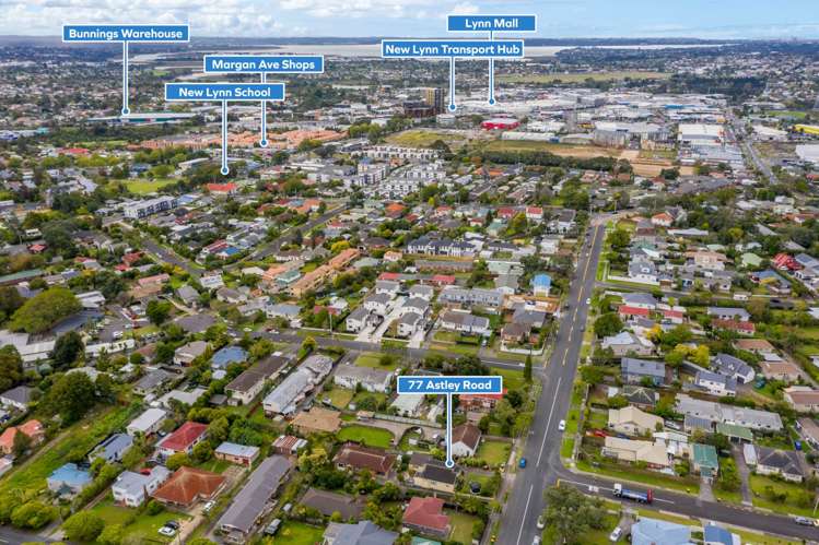77 Astley Avenue New Lynn_18