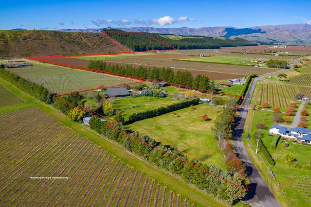 53 Guernsey Road Renwick_3