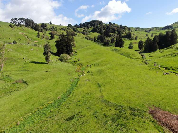 Lot (Rural)/1246 State Highway 3 Piopio_4